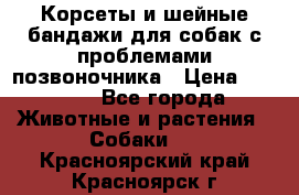 Корсеты и шейные бандажи для собак с проблемами позвоночника › Цена ­ 2 500 - Все города Животные и растения » Собаки   . Красноярский край,Красноярск г.